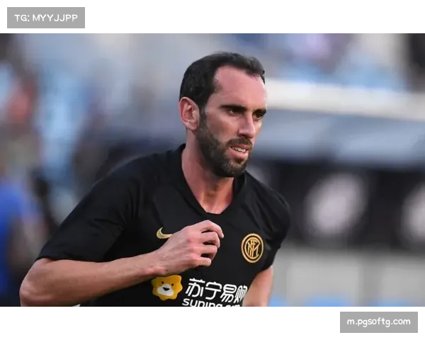 国际米兰三中卫体系成型 巴斯托尼与阿切尔比构建钢铁防线